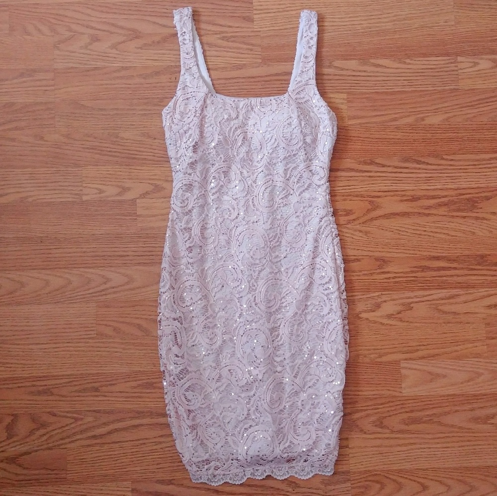Blush Pink Lace Bodycon Dress